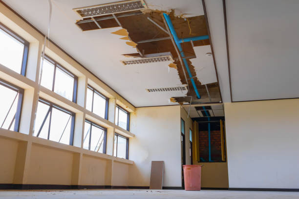 Best Water damage restoration near me  in Dallas Center, IA