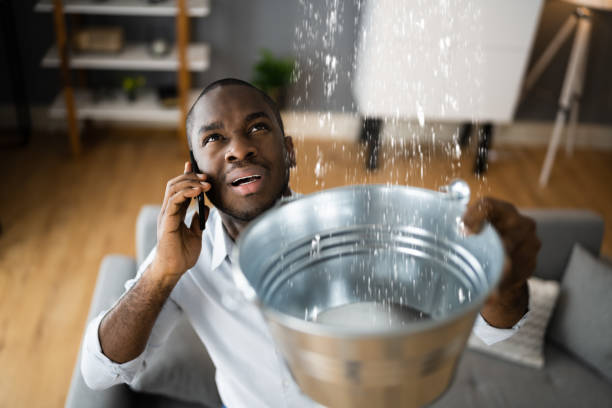 Best Ceiling water damage repair  in Dallas Center, IA
