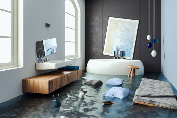 Best Flood damage cleanup  in Dallas Center, IA