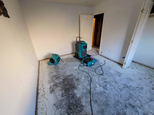 Best Local water damage restoration  in Dallas Center, IA