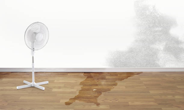 Best Water damage restoration insurance claims  in Dallas Center, IA