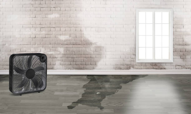 Best Fire Damage Restoration  in Dallas Center, IA