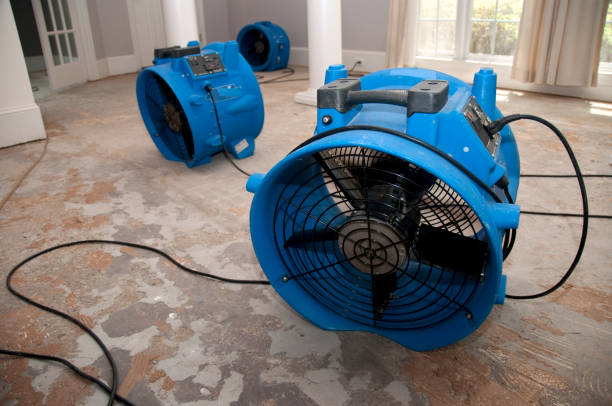 Best Carpet water damage restoration  in Dallas Center, IA