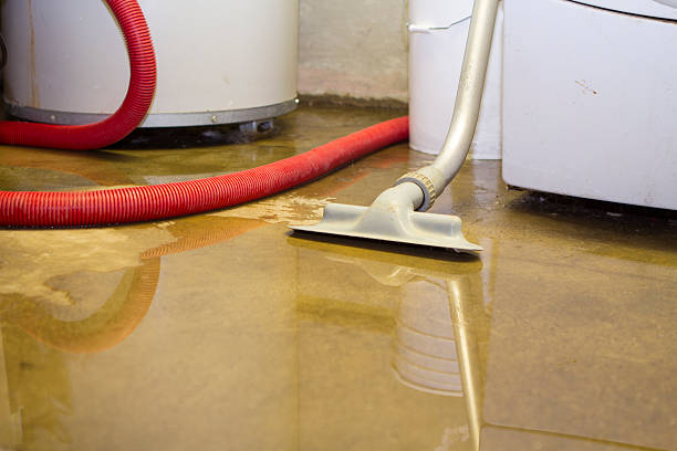 Best Water damage restoration near me  in Dallas Center, IA