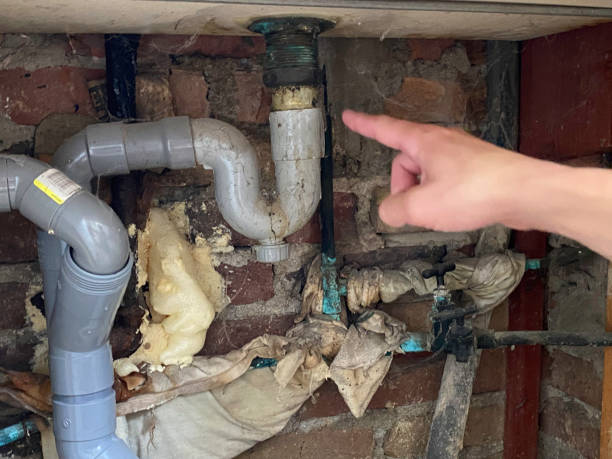 Best Water damage cleanup near me  in Dallas Center, IA