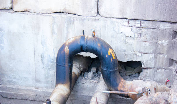 Best Mold removal after water damage  in Dallas Center, IA